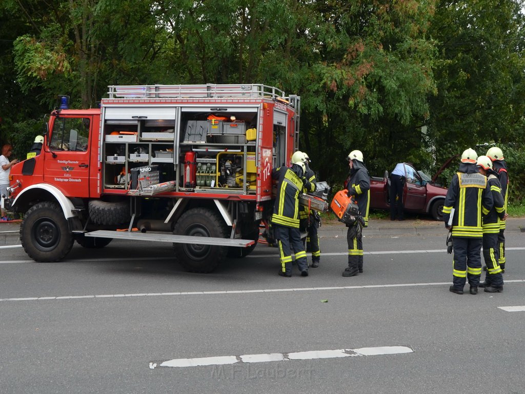 PKlemm Koeln Duennwald Am Weissen Moench Duennwalder Kommunalweg P14.JPG - Miklos Laubert